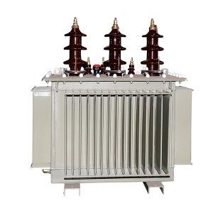S10-serio 11 kv-klasa distribua transformilo