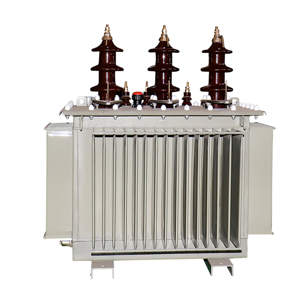 S10 ស៊េរី 11 kv class transformer