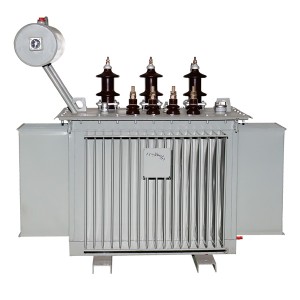 S10-serio 11 kv-klasa distribua transformilo