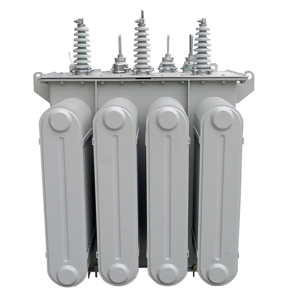 S11 ស៊េរី 15/20kv ថ្នាក់ចែកចាយប្លែង
